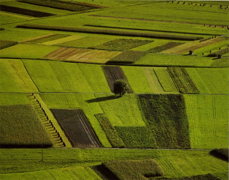 Datei:Bauer alpenland 1981.jpg